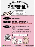 프로그램 사진